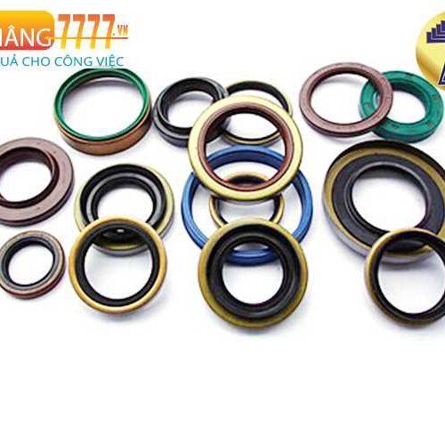 phốt ty ben xe nâng